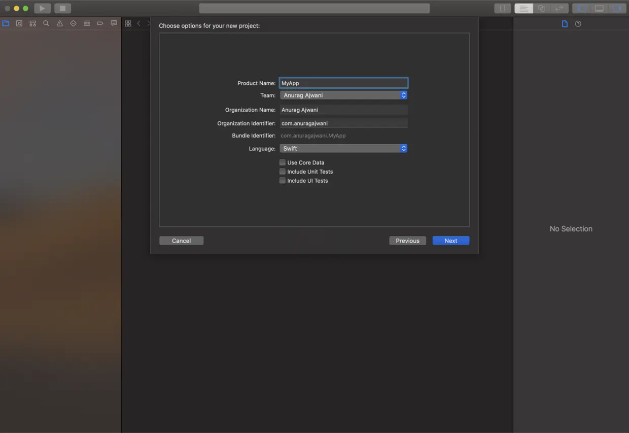单例应用的项目选项