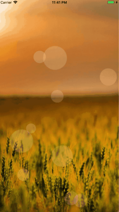 ball_view