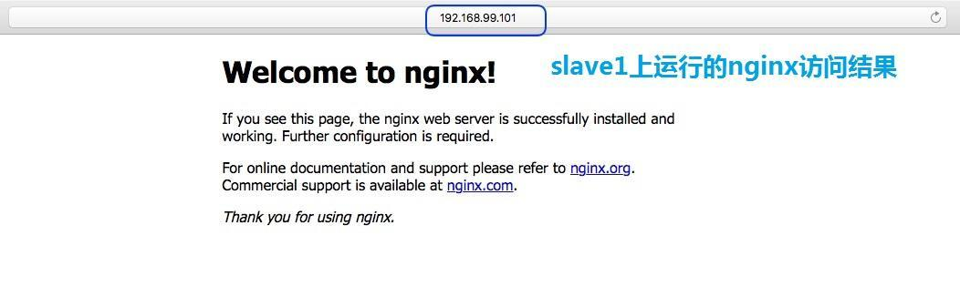 192.168.99.101（slave1）上nginx容器访问结果