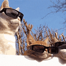 程序员趣事于2018-12-15 17:43发布的图片