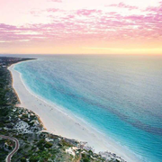 testName的个人资料头像