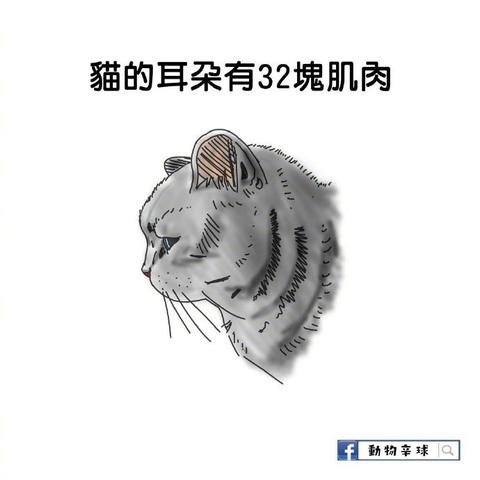 喵秒喵于2018-12-17 14:27发布的图片