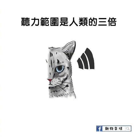 喵秒喵于2018-12-17 14:27发布的图片