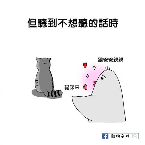 喵秒喵于2018-12-17 14:27发布的图片