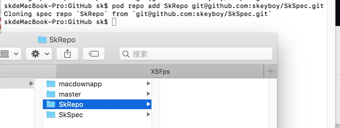本地cococpod查看结果