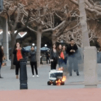 不是好消息记录员于2018-12-17 20:18发布的图片