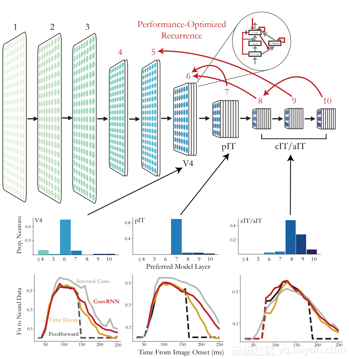 任务驱动的视觉系统卷积循环模型可以同时执行机器视觉任务并解释猴子视觉系统的动态