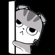 Noodles_的个人资料头像