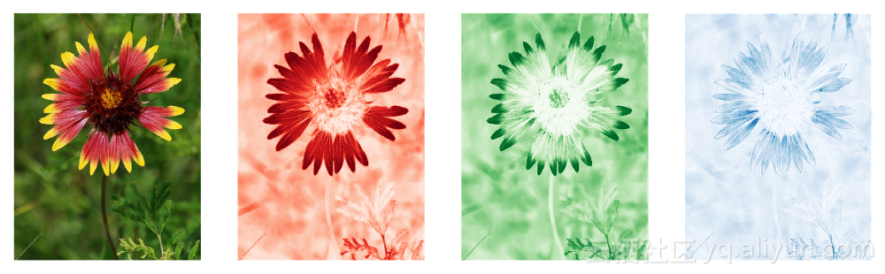 从左到右，依次为：原始图像，红色，绿色，蓝色。