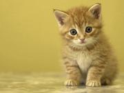 bei_12345678的个人资料头像