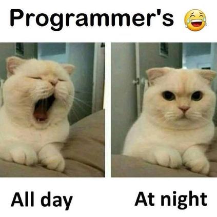 娱乐小编于2018-12-02 12:01发布的图片