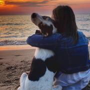 涼的个人资料头像