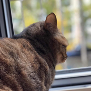 breezelife12505的个人资料头像