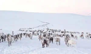 Migrating to postgres for the winter