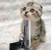 My_七夜的个人资料头像