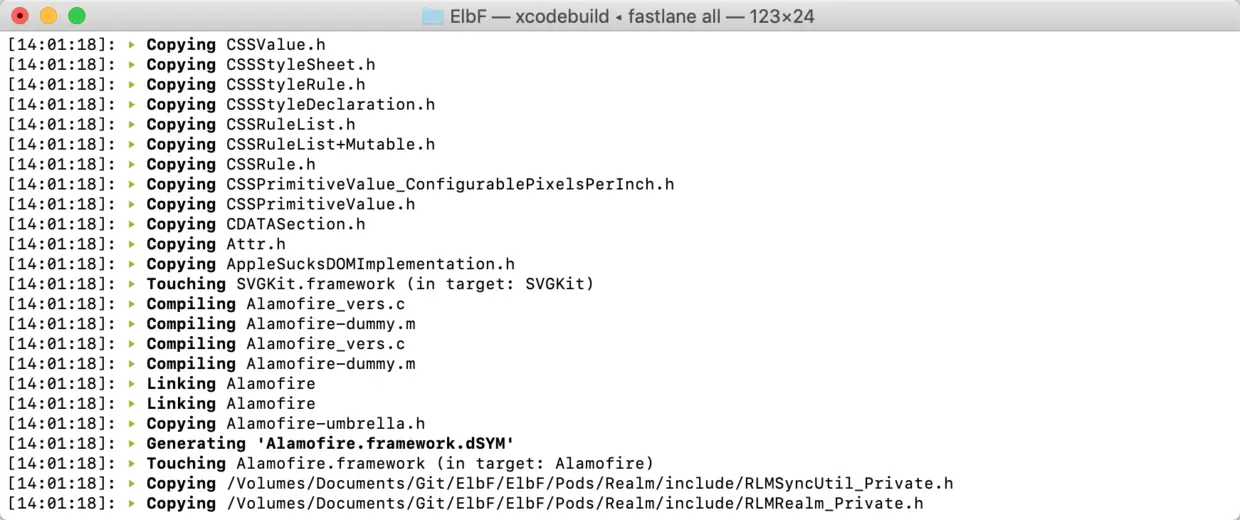 终端执行过程截图