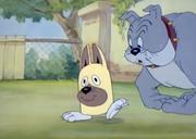 tocz9ea的个人资料头像