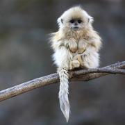 豪小子的个人资料头像