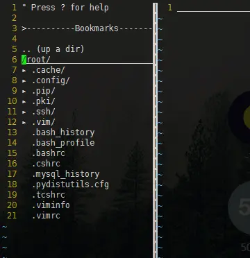 NERDTree 插件预览