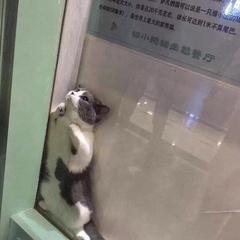 程序员鼓励喵于2018-12-24 13:55发布的图片