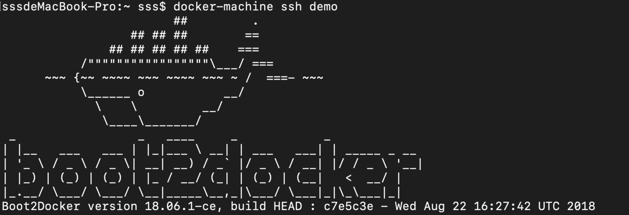 docker-machine ssh demo