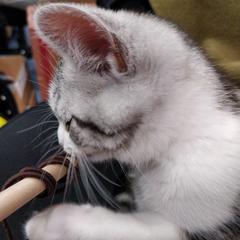 志遥于2018-12-25 21:38发布的图片