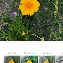 开发工具推荐于2018-12-26 11:21发布的图片