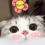兜兜里有糖啦的个人资料头像