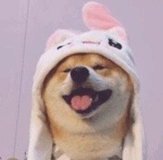 littleflyfly的个人资料头像