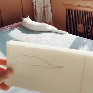 娱乐小编于2018-12-28 18:24发布的图片