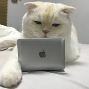 ssqnzs的个人资料头像