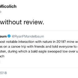 能量员于2018-12-29 09:38发布的图片