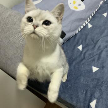 _没有好名字了_于2018-12-29 19:47发布的图片