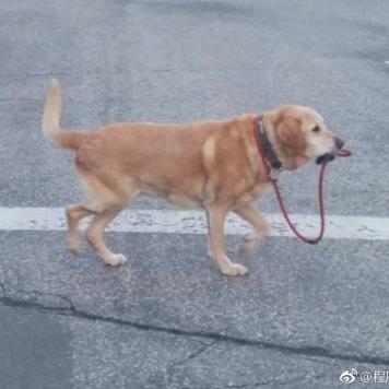 程序员趣事于2018-12-03 11:16发布的图片