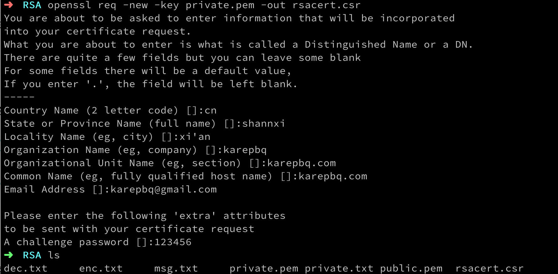 OpenSSL 使用RSAOpenSSL中有RSA的一些常用指令，使用它就可以玩转RSA。 使用https的同志都知道- 掘金