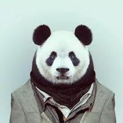 熊猫大叔o_o的个人资料头像