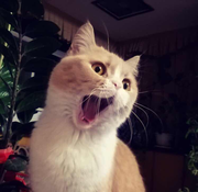 你好园的个人资料头像