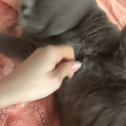 程序员趣事于2018-12-30 16:51发布的图片