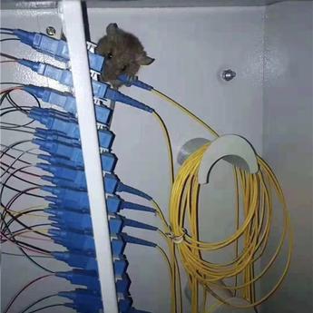 程序员趣事于2018-12-31 10:02发布的图片