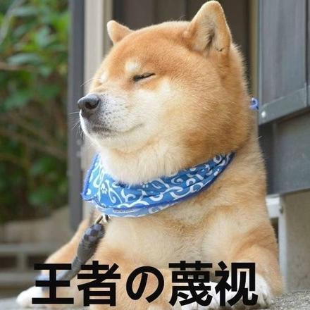 辣瓜瓜儿于2018-12-31 23:22发布的图片