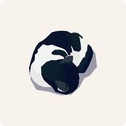 CoderBing的个人资料头像