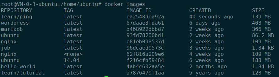Docker 十分钟动手教程-omgleoo