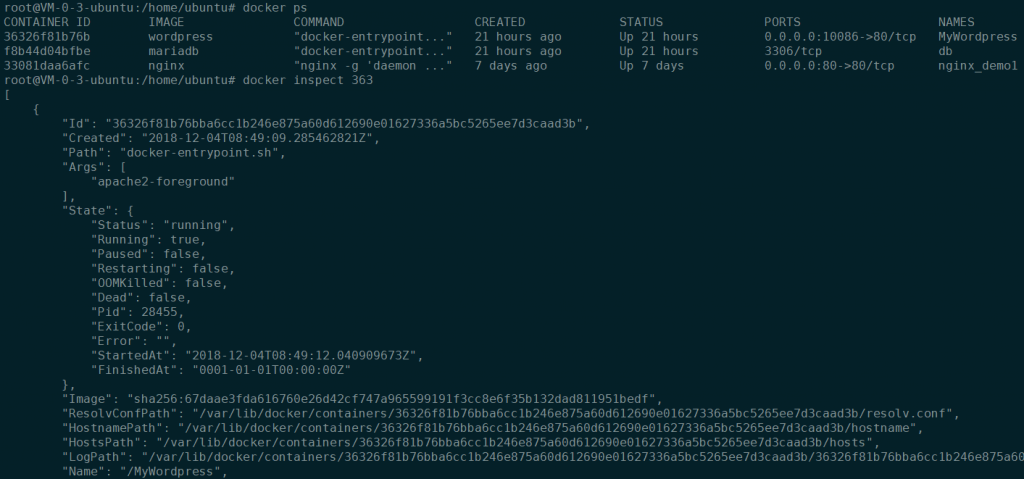 Docker 十分钟动手教程-omgleoo