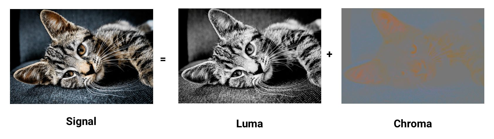 luma-signal-large
