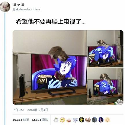 程序员鼓励喵于2018-12-06 11:59发布的图片