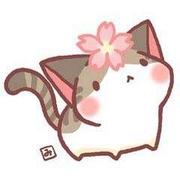 小黑兔斯基的个人资料头像