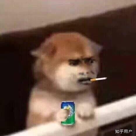 三爷不是佩奇啊于2018-12-07 10:05发布的图片