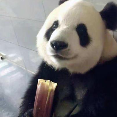 图徒kevin于2018-12-08 20:32发布的图片