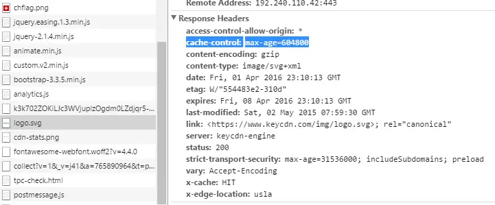 cache control header