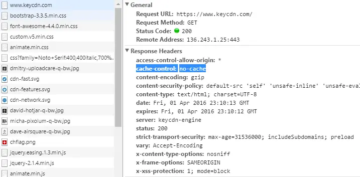 no-cache header